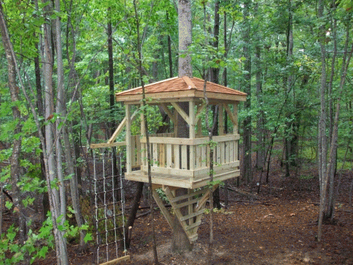 7x7 Treehouse